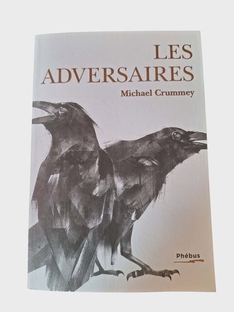 📖 Les Adversaires – Michael Crummey