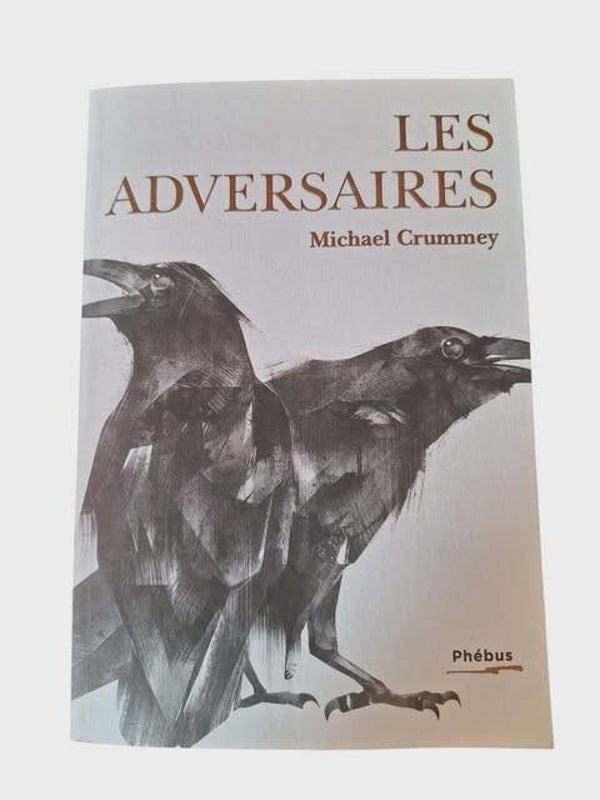 📖 Les Adversaires – Michael Crummey