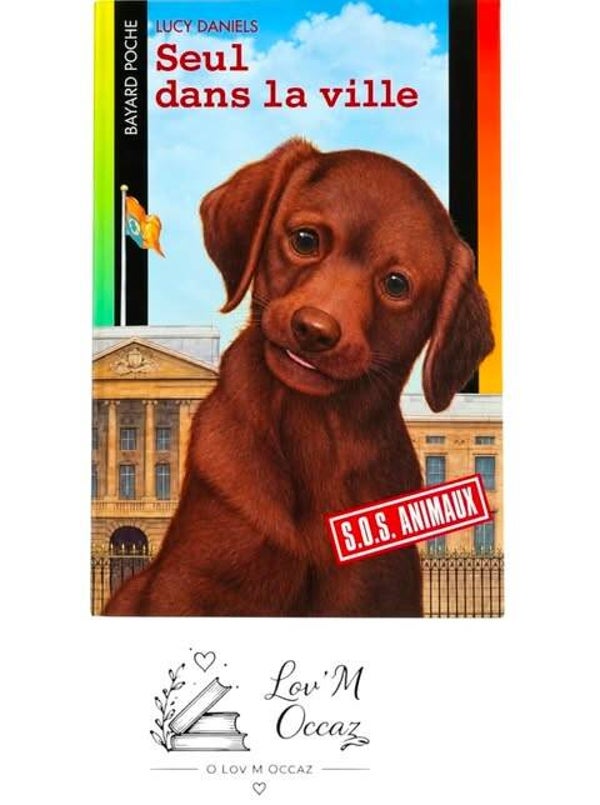 📚 Livre jeunesse Seul dans la ville – Lucy Daniels | SOS Animaux n°327 | Bayard Jeunesse