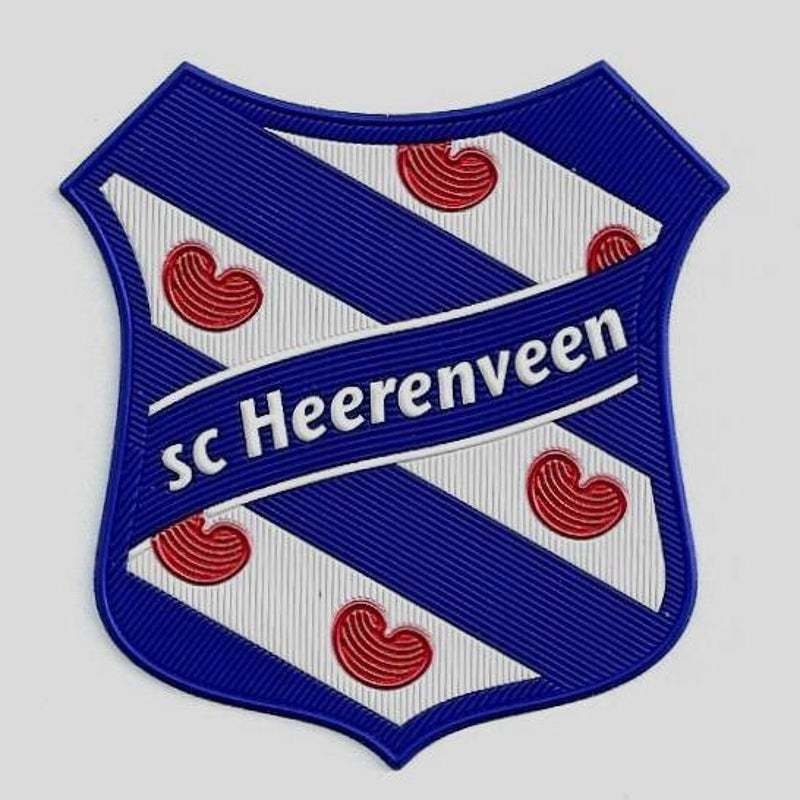Heerenveen sc relief.jpg