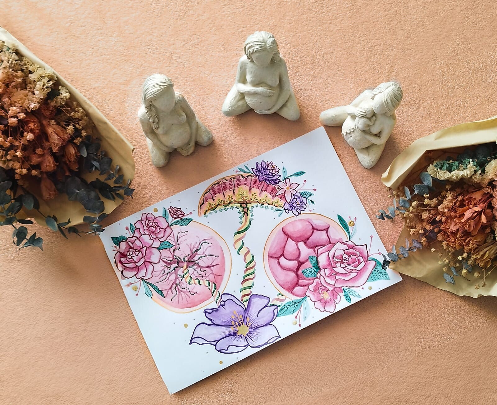 illustration anatomie aquarelle du placenta découpe et 2 faces fleurit floral cordon 