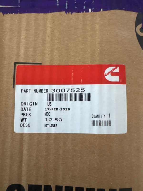 KIT LINER (KIT DE CAMISA DE CILINDRO)