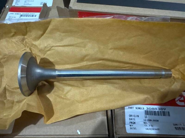 VALVE EXHAUST (VALVULA DE ESCAPE)