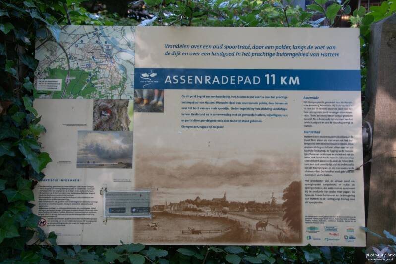 20220603-dsc_4527-1nm.jpg