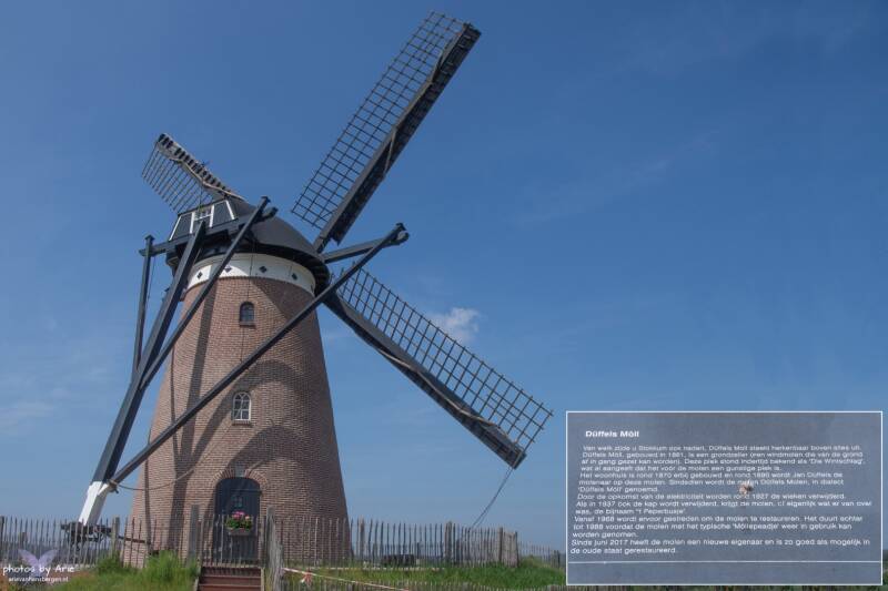 20240511-dsc_6650-1c-nm-standard.jpg