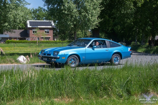 20250510-dsc_7668-1-n-standard.jpg