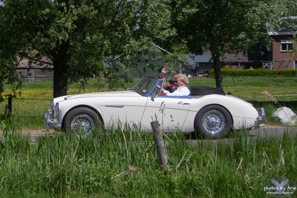 20250510-dsc_7715-1-n-standard.jpg
