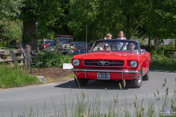 20250510-dsc_7892-1-n-standard.jpg