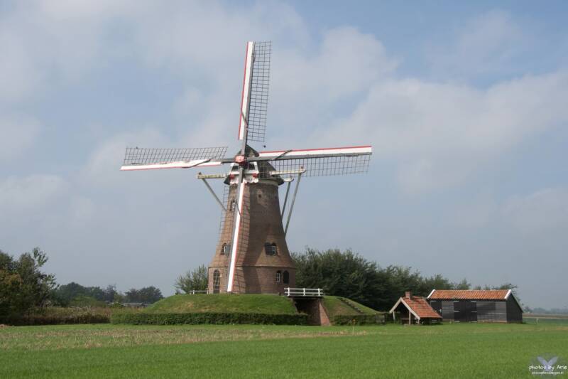 20250910-dsc_1547-1-n-groot-standard.jpg