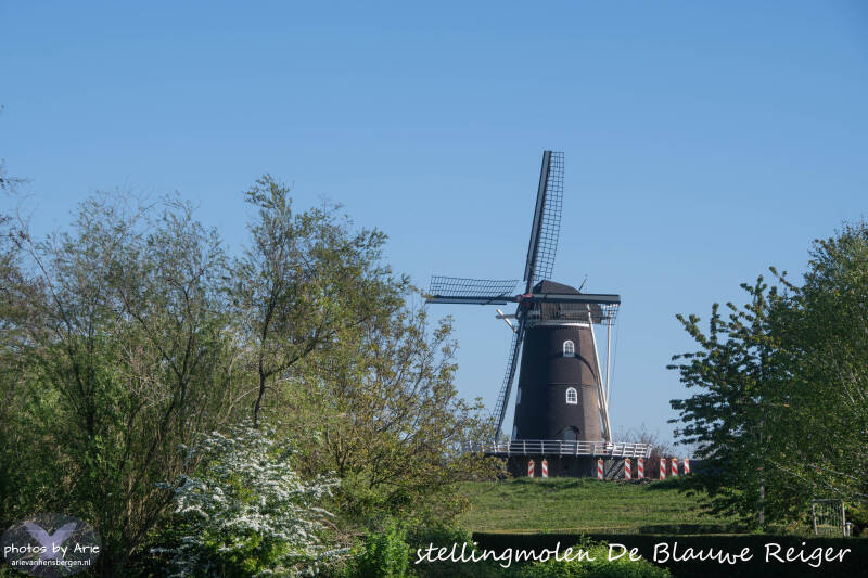 20260422-dsc_3457-1-tk-nm-standard.jpg