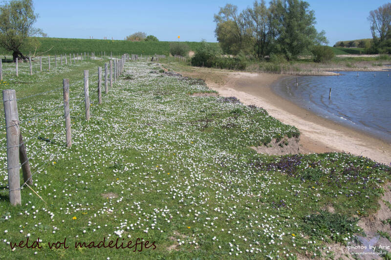 20260422-dsc_3536-1-tk-nm-standard.jpg