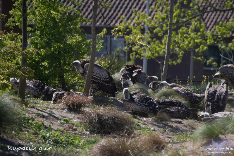 20260430-dsc_3921-1t-standard.jpg