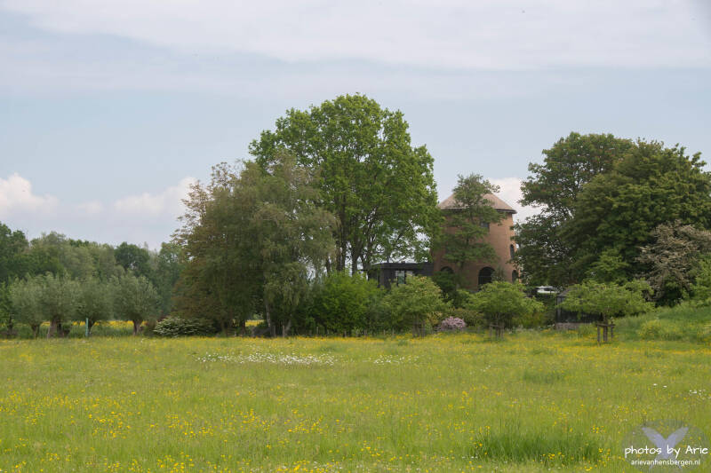 20260508-dsc_4476-1-standard.jpg