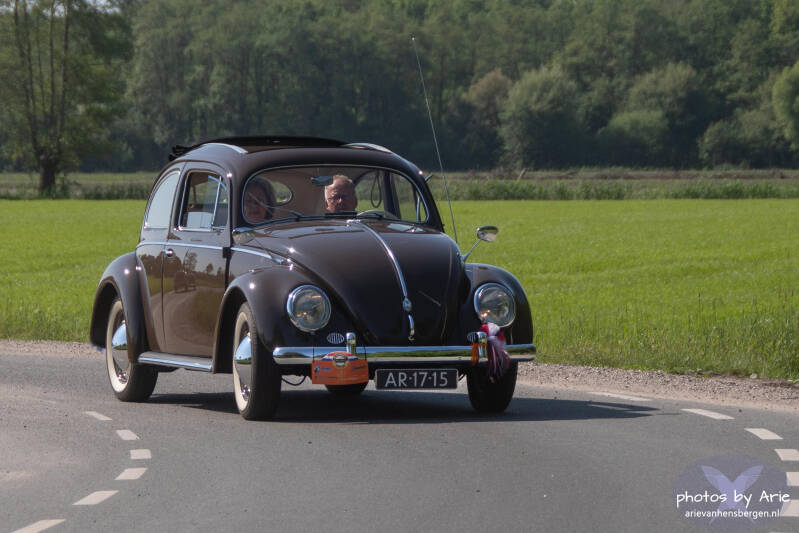 20260509-dsc_4585-1a-standard.jpg