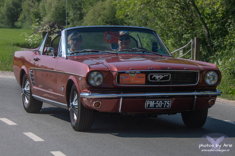 20260509-dsc_4981-1a-standard.jpg