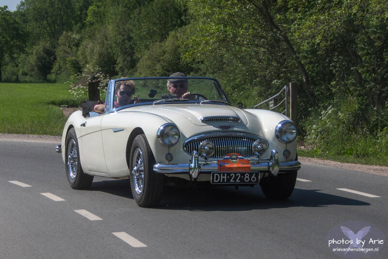 20260509-dsc_5074-1a-standard.jpg