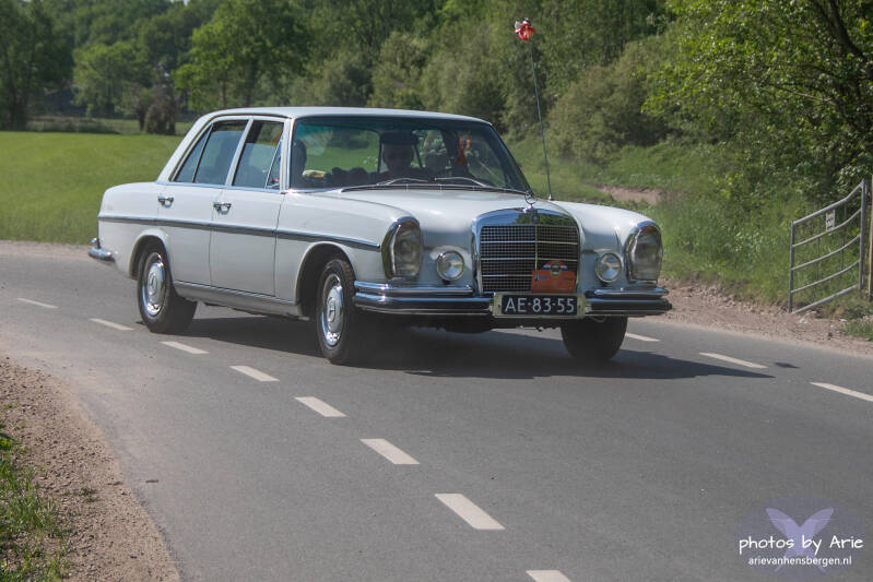 20260509-dsc_5179-1a-standard.jpg