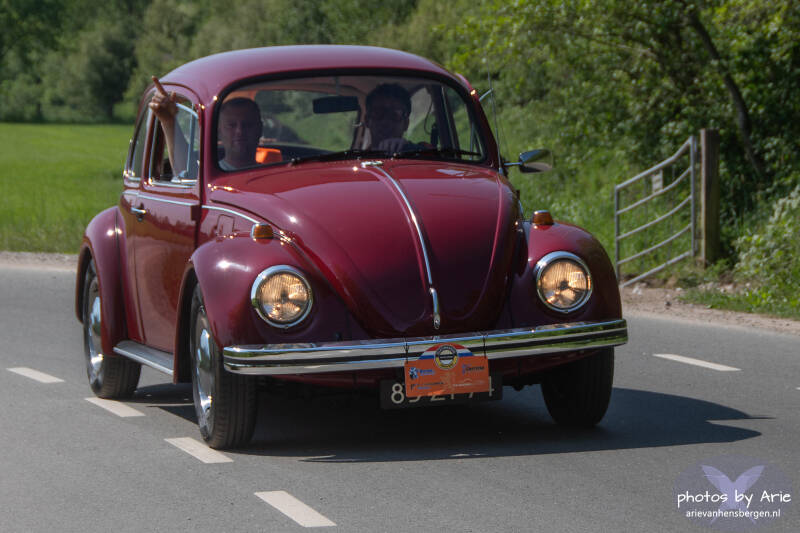 20260509-dsc_5224-1-standard.jpg