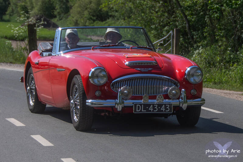 20260509-dsc_5323-1-standard.jpg