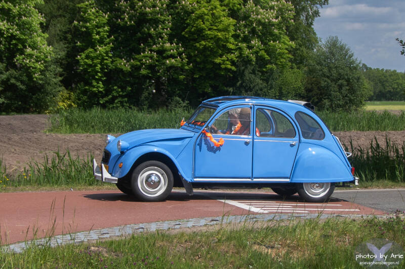 20260509-dsc_5854-1-standard.jpg