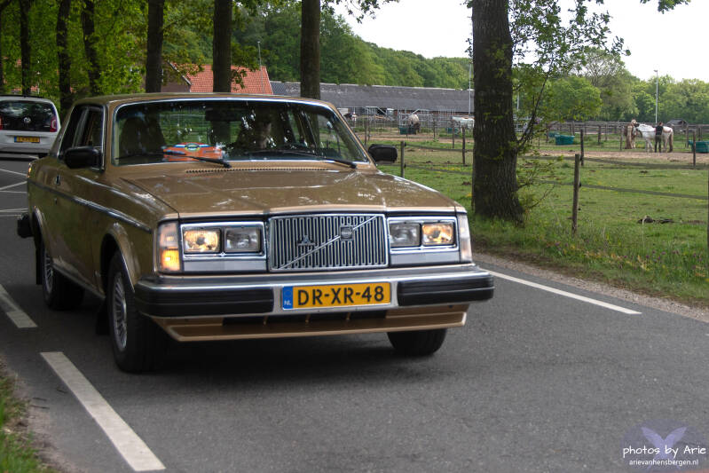 20260509-dsc_5958-1-standard.jpg
