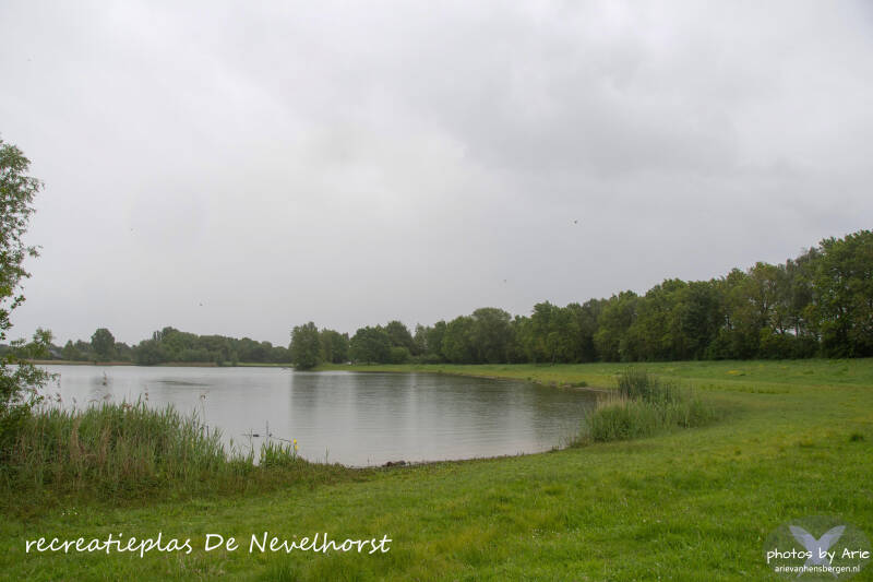 20260520-dsc_6142-1-t-standard.jpg