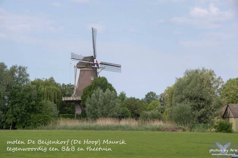20260527-dsc_6268-1-t-standard.jpg