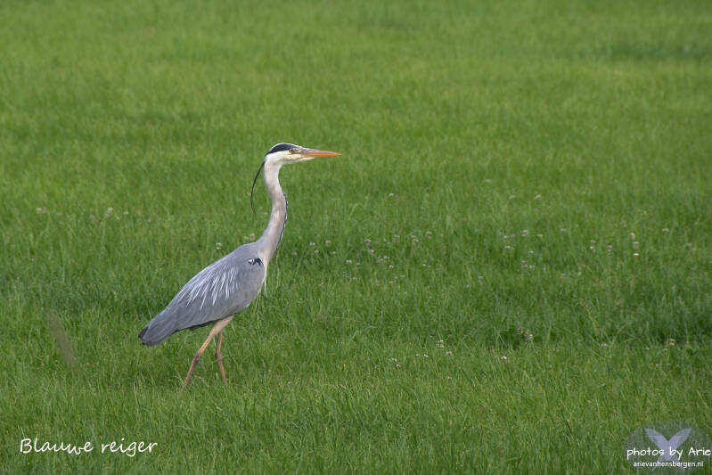 20260527-dsc_6272-1-t-standard.jpg