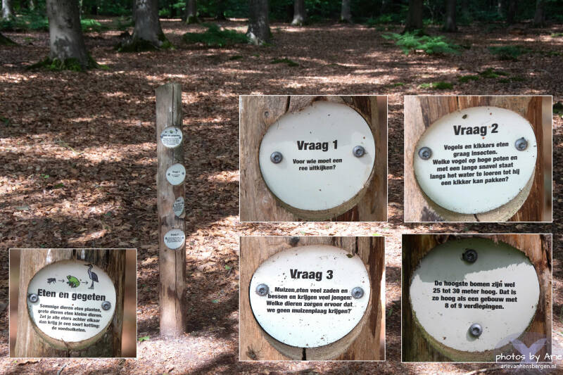20260611-dsc_6606-1c-standard.jpg