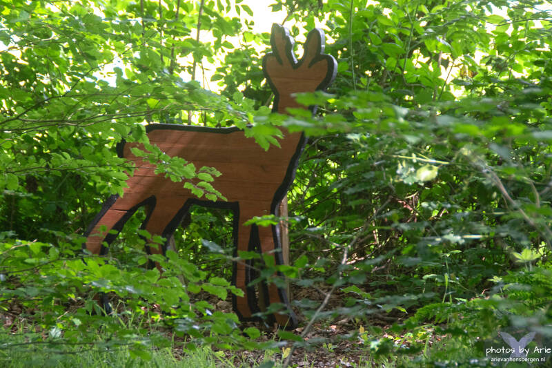 20260611-dsc_6615-1-standard.jpg