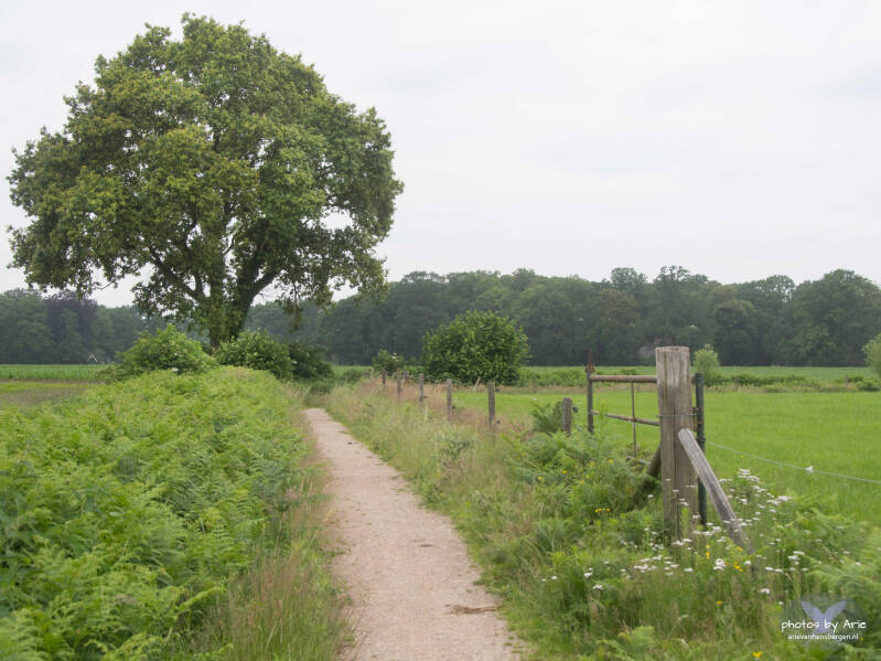 20260617-dsc_6751-1-standard.jpg