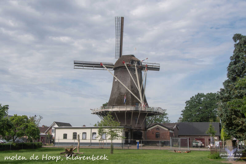 20260623-dsc_7118-1-t-standard.jpg