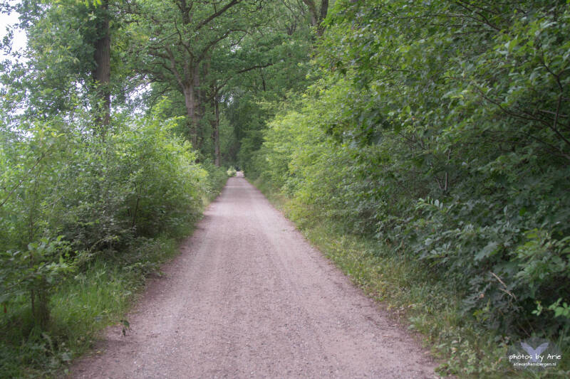 20260708-dsc_7997-1-standard.jpg