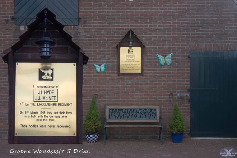 20260721-dsc_8241-1c-tk-n-standard.jpg