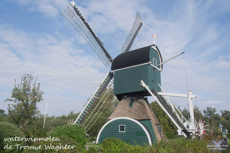 20260912-dsc_9674-1-tk-standard.jpg