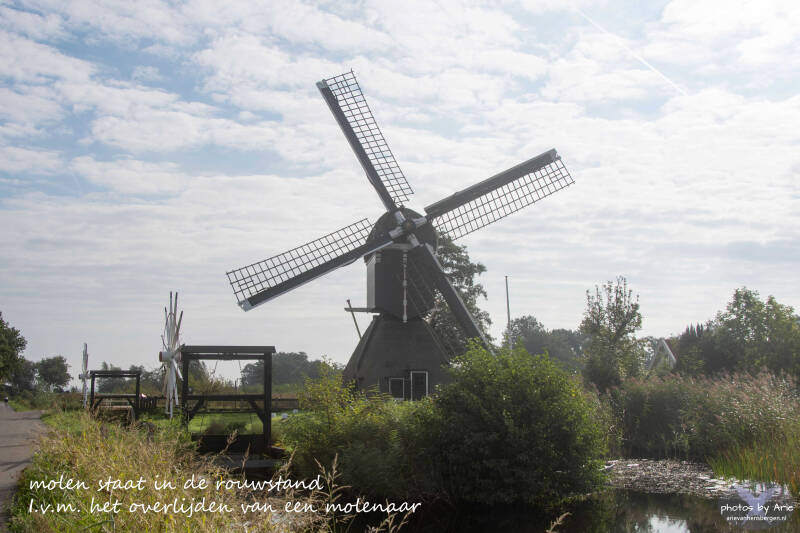 20260912-dsc_9680-1-tk-standard.jpg