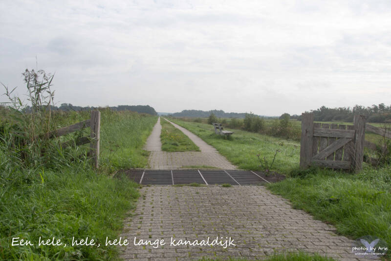 20260912-dsc_9702-1-tk-standard.jpg
