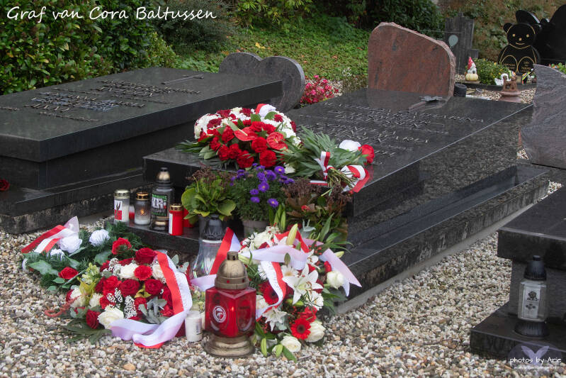 20260920-dsc_0815-1-t-standard.jpg