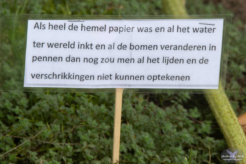 20260922-dsc_1055-1-standard.jpg