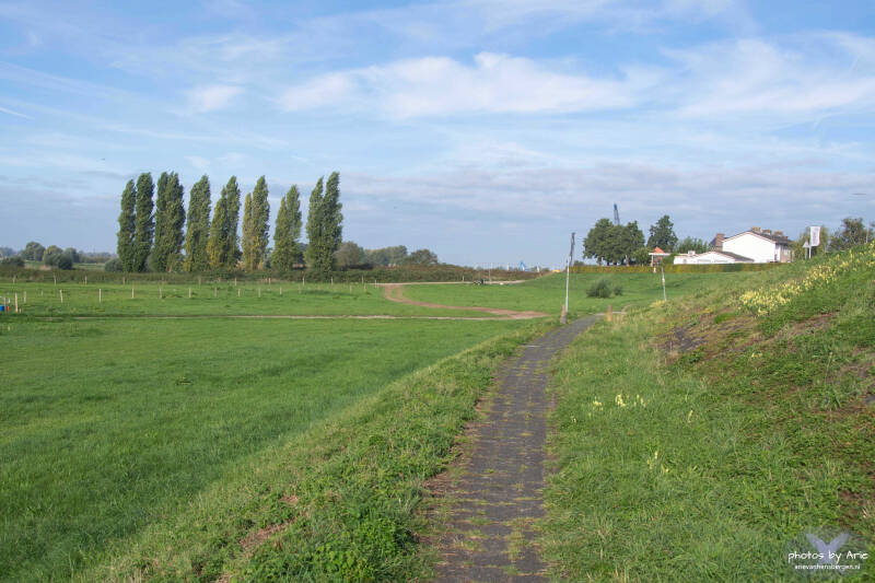 20260923-dsc_1080-2-standard.jpg