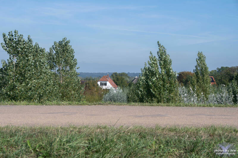 20260923-dsc_1195-1-standard.jpg