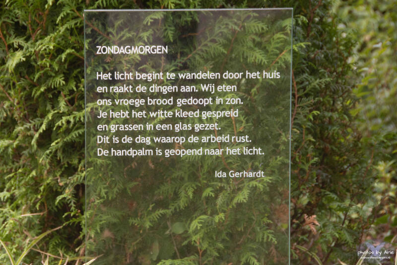 20260926-dsc_1308-1-standard.jpg
