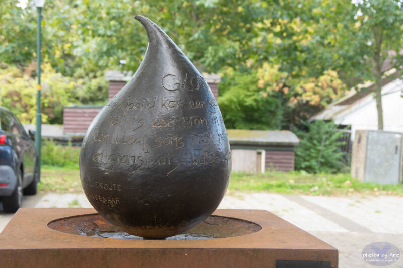 20260926-dsc_1317-1-standard.jpg