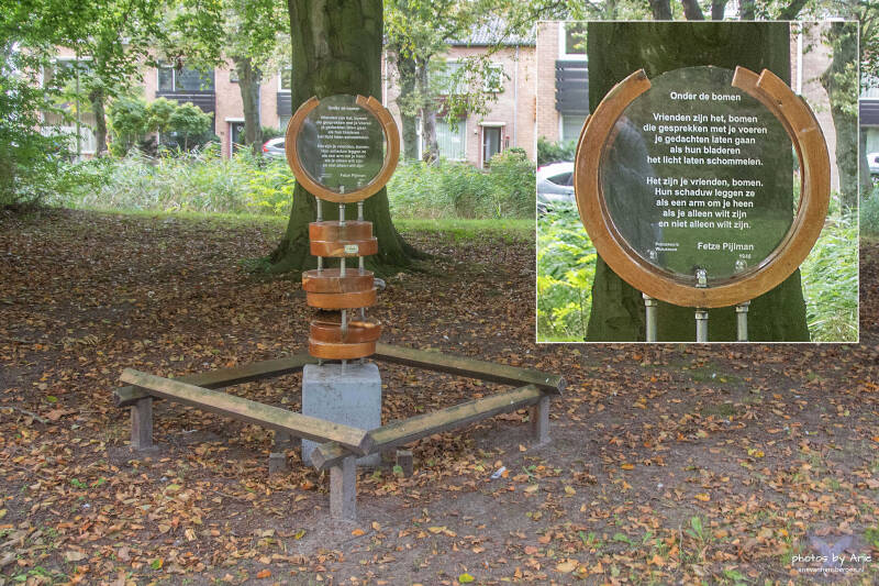 20260926-dsc_1331-1-c-standard.jpg
