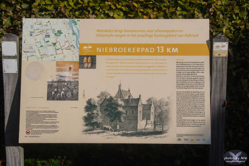 20261007-dsc_1373-1-standard.jpg