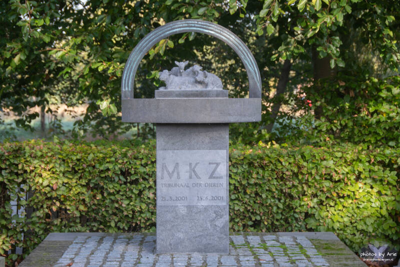 20261007-dsc_1376-1-standard.jpg