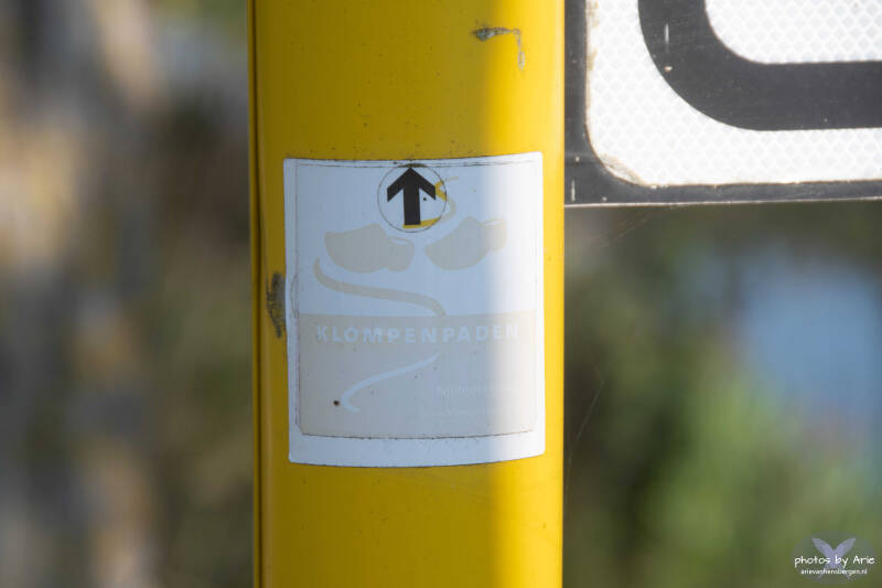 20261007-dsc_1431-1-standard.jpg