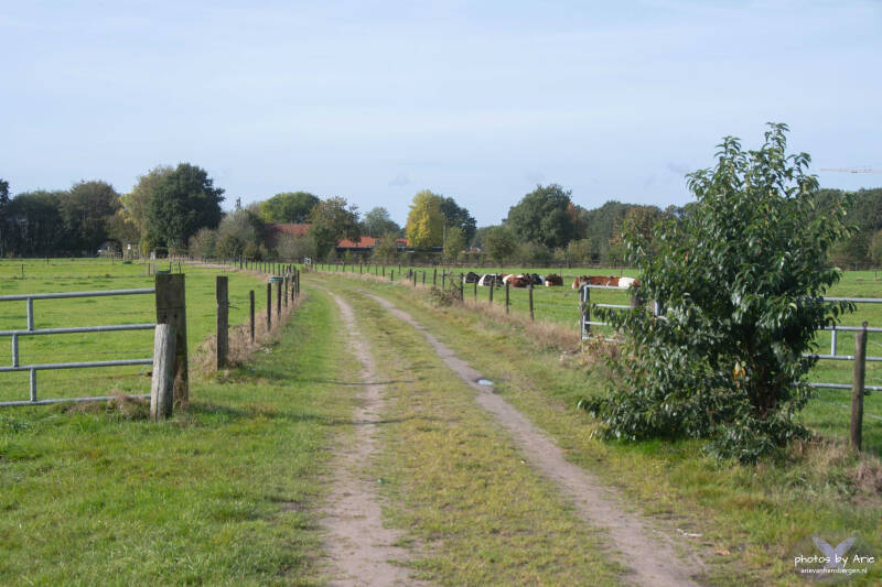 20261014-dsc_1770-1-standard.jpg