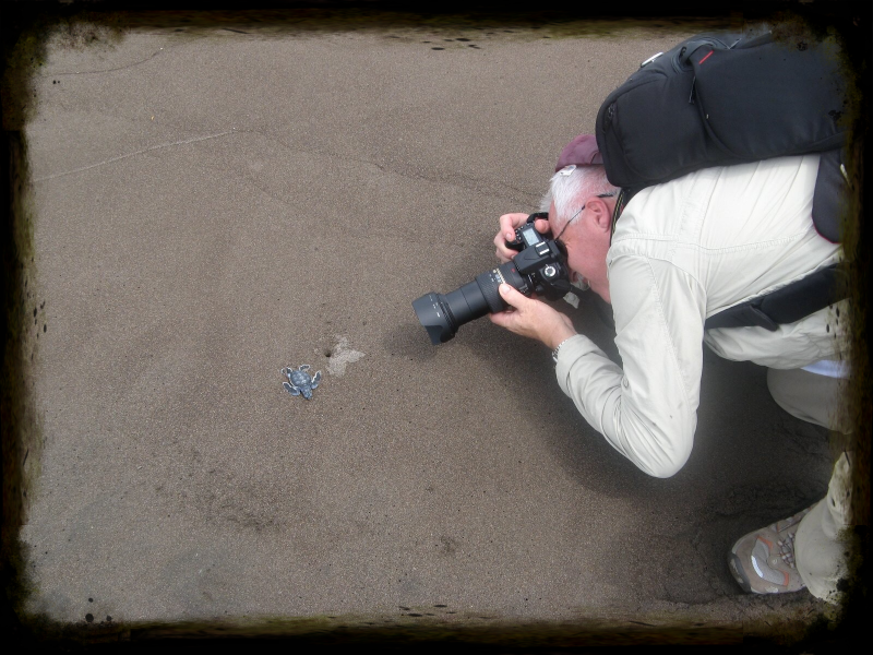 Tortuguero Costa Rica
