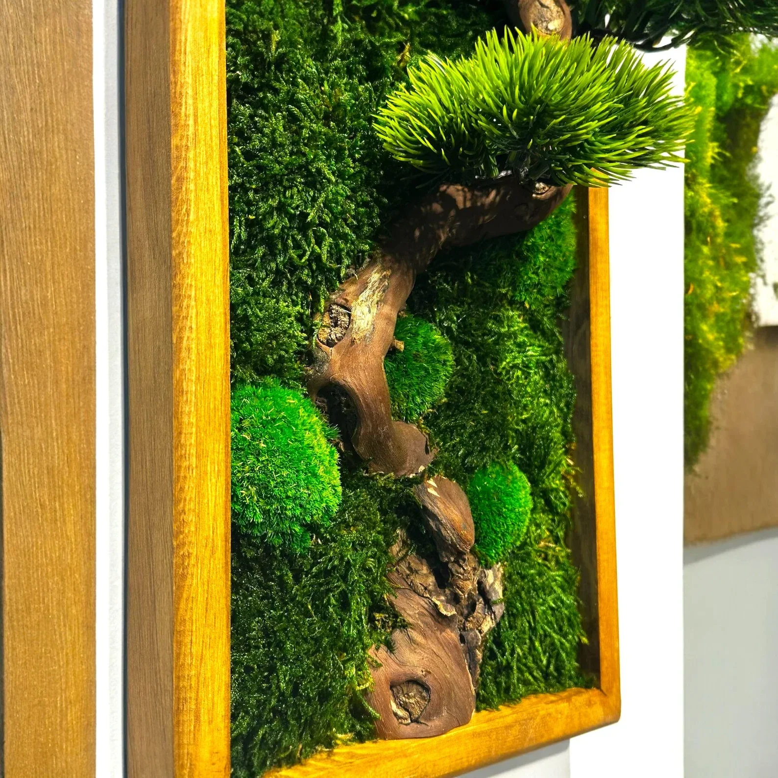 Décoration murale en mousse stabilisée avec de vraies branches de bonsaï - Cadre en pin des montagnes